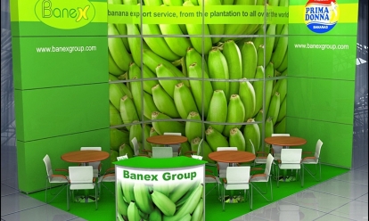 Banex Group